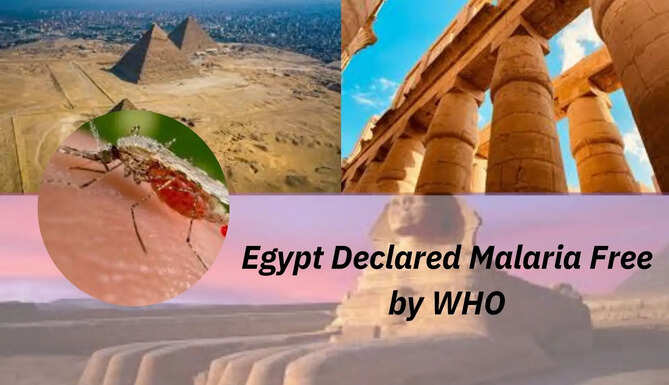 Egypt Declared Malaria Free by WHO