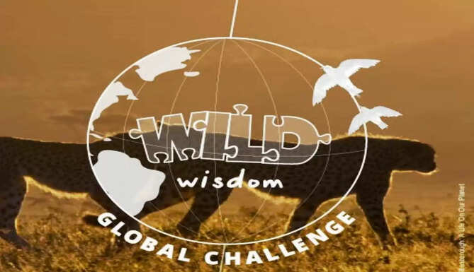 wild wisdom quiz