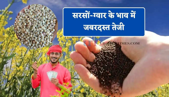  सरसों-ग्वार के भाव में जबरदस्त तेजी, देखें सभी मंडियों के नए रेट