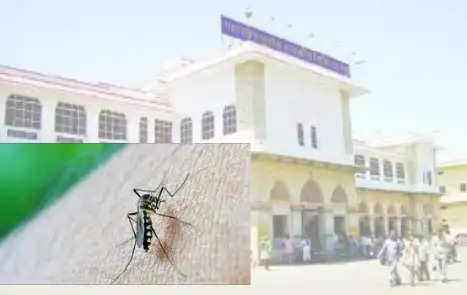 Dengue in Udaipur