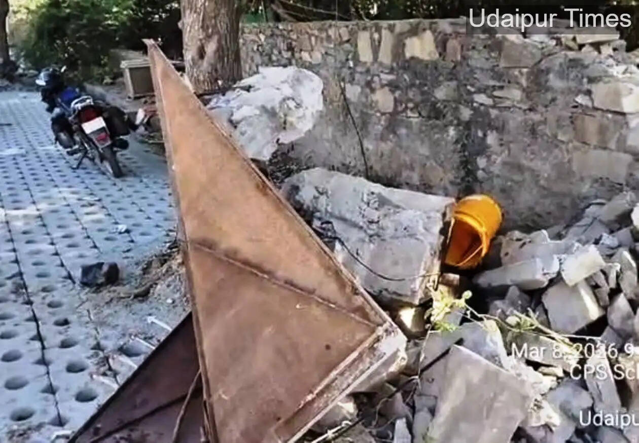 Vandalism in nursery