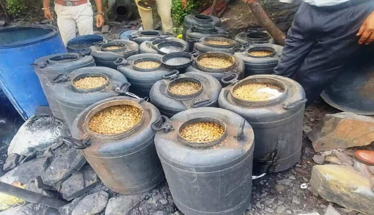 illegal country wine