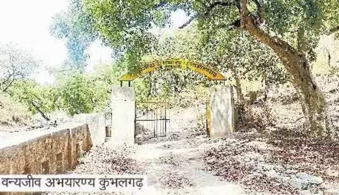 Kumbhalgarh Tiger Reserve