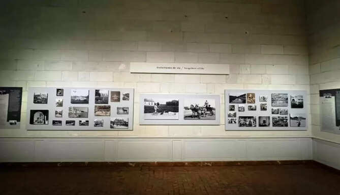 exhibition