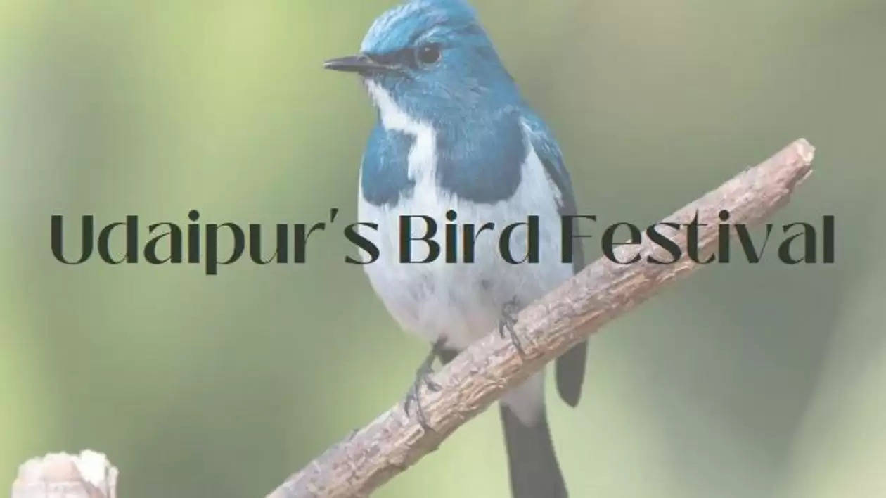Udaipur bird festival