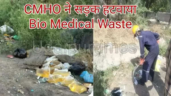 BIO Waste removed from road 