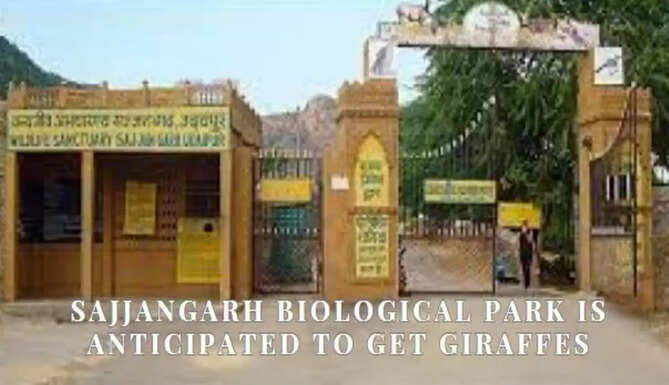 Sajjangarh Biological Park, Udaipur