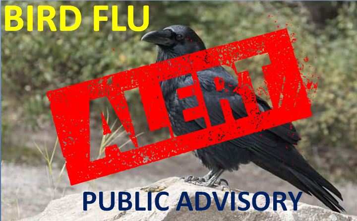 Public advisory on Bird Flu by the Central Government - take precautions and keep a close vigil