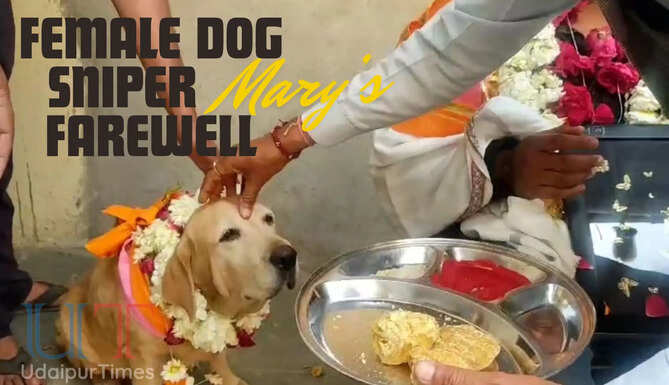 Female Dog Sniper Mary Farewell
