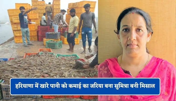 हरियाणा में खारे पानी को कमाई का जरिया बना सुमित्रा बनी मिसाल, अब सालाना कमा रही लाखों रुपये &nbsp;&nbsp;