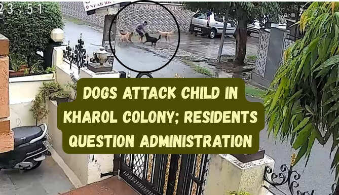 Dog Attack
