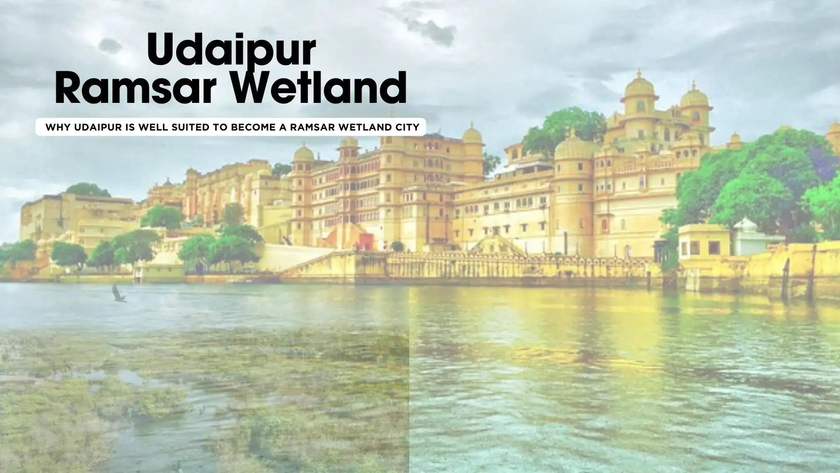Why Udaipur Qualifies to be a Ramsar Wetland City