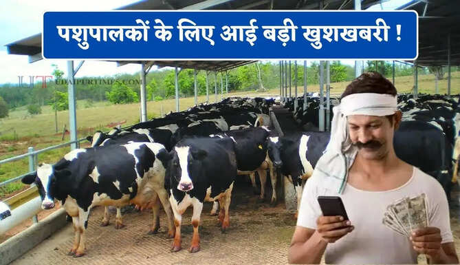 पशुपालकों के लिए आई बड़ी खुशखबरी ! सरकार दे रही पूरे 12 लाख रुपये, ऐसे उठाएं लाभ&nbsp;