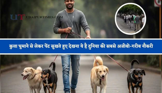 कुत्ता घुमाने से लेकर पेंट सुखते हुए देखना ये है दुनिया की सबसे अजीबो-गरीब नौकरी, मिलती है मोटी सैलेरी