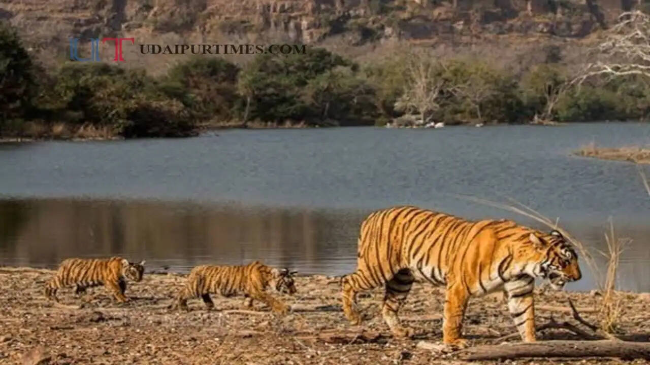 अक्टूबर के महीने में जरूर घूमे राजस्थान की ये खूबसूरत जगहें