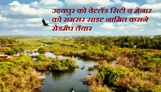 udaipur wetland 