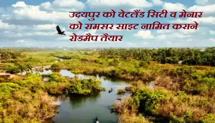 udaipur wetland 