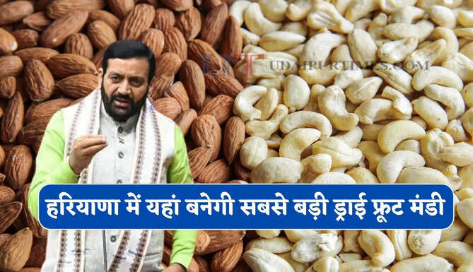 हरियाणा में 5 हजार एकड़ में बनेगी नमो सिटी, प्रदेश में जल्द स्थापित होगी बड़ी ड्राई फ्रूट मंडी