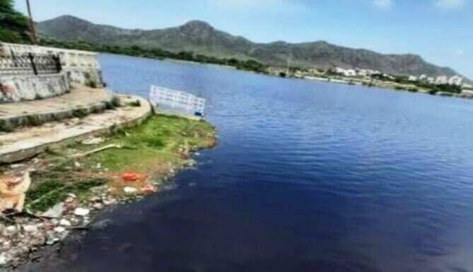 गोवर्धन सागर के बदबूदार पानी में मर रही है मछलियां
