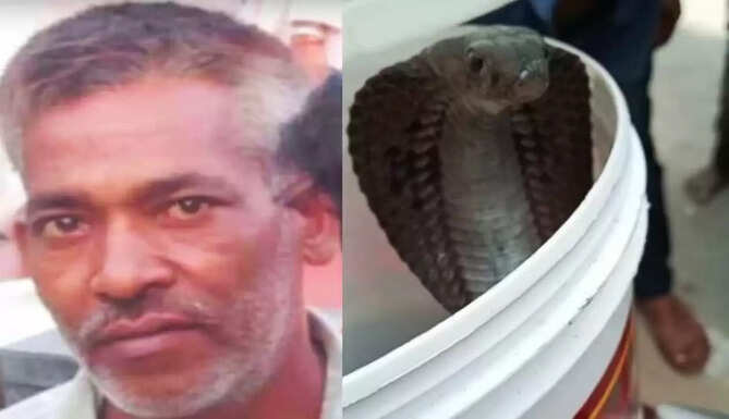 DEATH FROM SNAKE BITE UDAIPUR