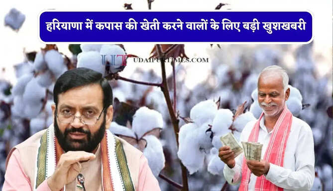 हरियाणा में कपास की खेती करने वालों के लिए बड़ी खुशखबरी, सरकार देगी 4 हजार रुपये&nbsp;