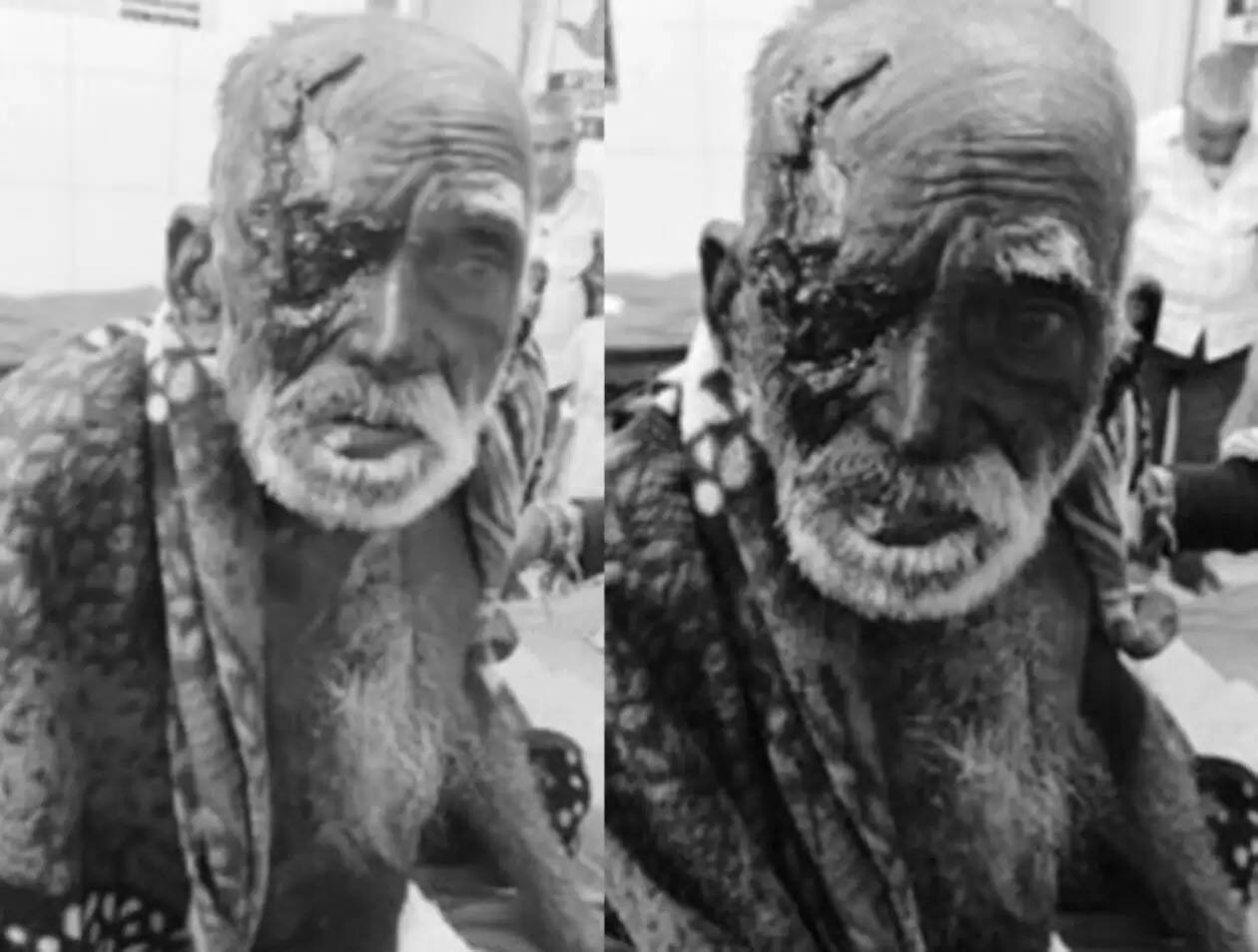 panther attack in rajsamand