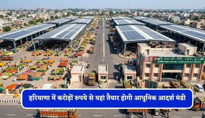हरियाणा में करोड़ों रुपये से यहां तैयार होगी आधुनिक आदर्श मंडी, लोगों को मिलेगी बड़ी सुविधा&nbsp;