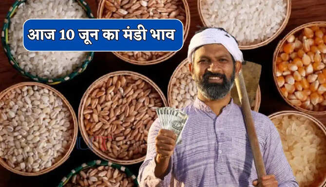  Mandi Bhav : सरसों-ग्वार के भाव में जबरदस्त तेजी, देखें सभी मंडियों के नए दाम