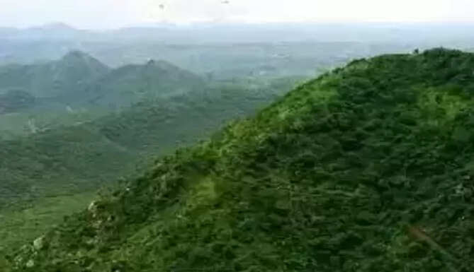 Aravali hills