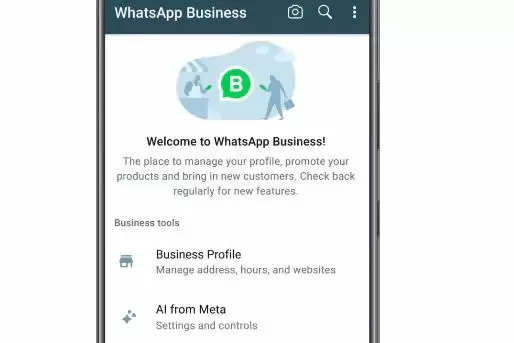 WhatsApp Message