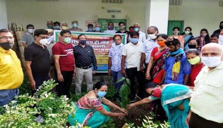 दीक्षा जयन्ति पर 131 फलदार एवं औषधिय पौधे लगाए