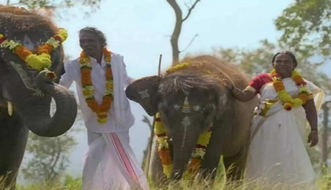 Elephant whisperers