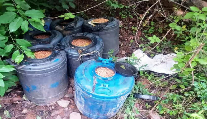 illegal deshi wine