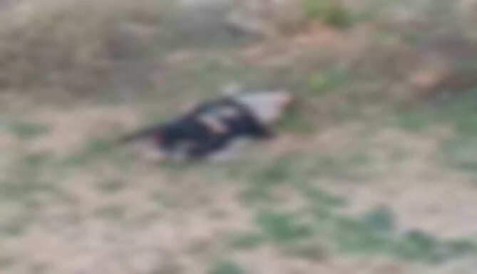 Minor Girl Murdered at Gogunda
