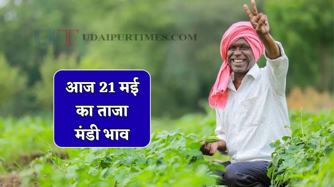 Mandi Bhav : सरसों-ग्वार के भाव में बड़ी तेजी, जाने सभी मंडियों के ताजा भाव