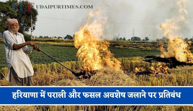 हरियाणा में पराली और फसल अवशेष जलाने पर प्रतिबंध, धारा 163 के तहत आदेश जारी&nbsp;