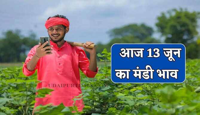 Mandi Bhav : नरमा-ग्वार के भाव में जबरदस्त तेजी, देखें सभी मंडियों के नए दाम