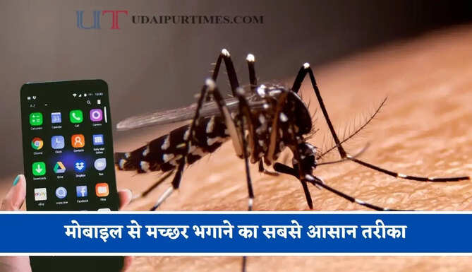 क्या आप भी हो गए मच्&zwj;छर से परेशान ! आज हम बताएंगे मोबाइल से मच्छर भगाने का सबसे आसान तरीका, जाने कैसे करेगा काम ?