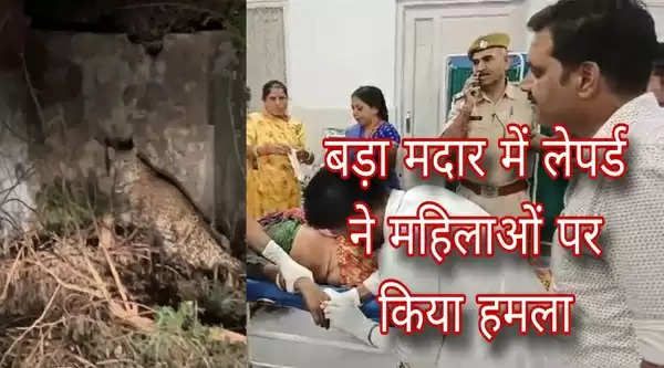 Leopard Attack Bada Madar