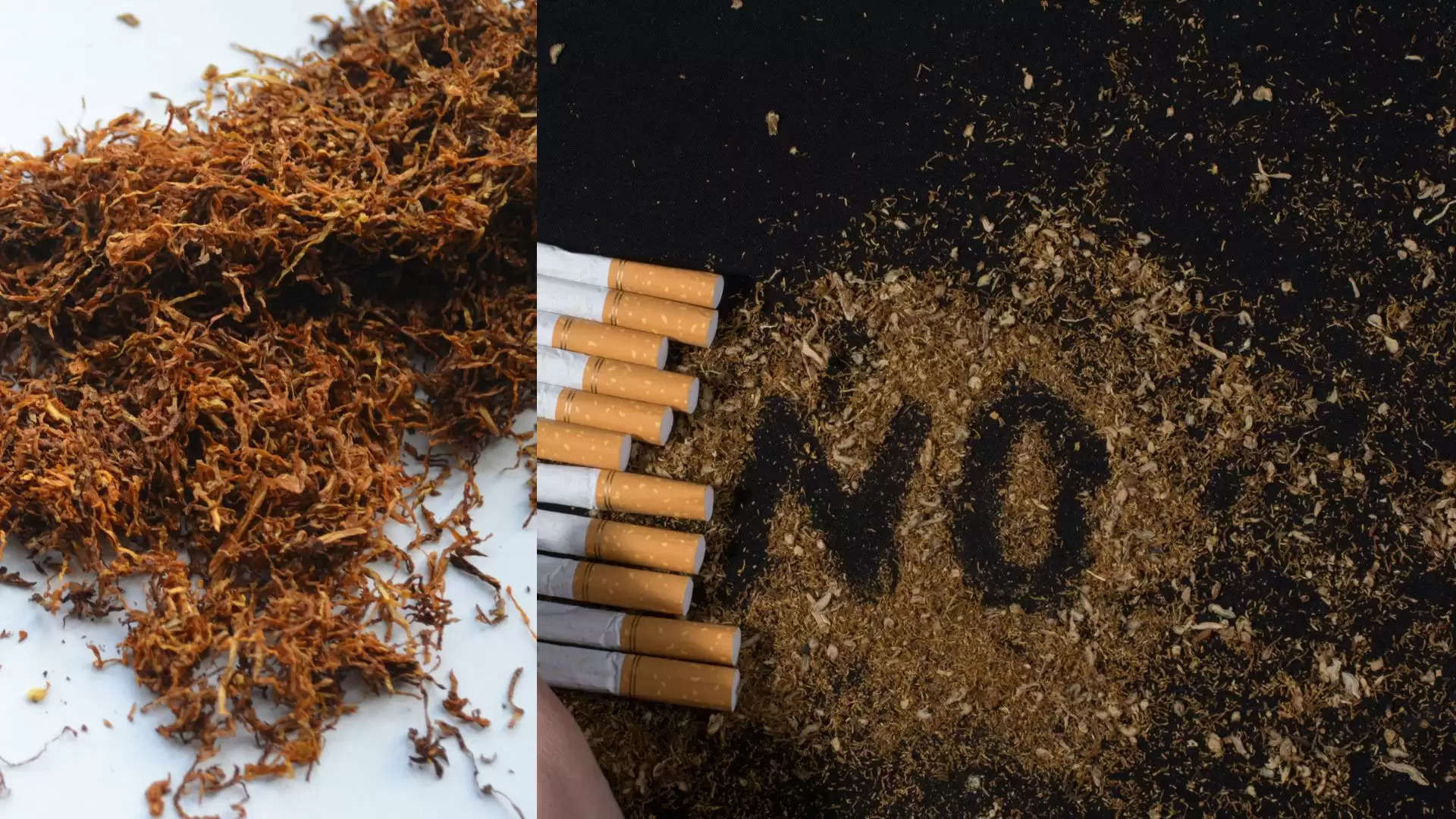 Tobacco and cigarette