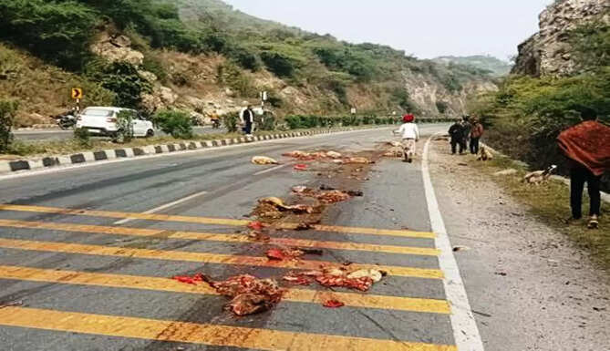 udaipur gogunda highyway accident