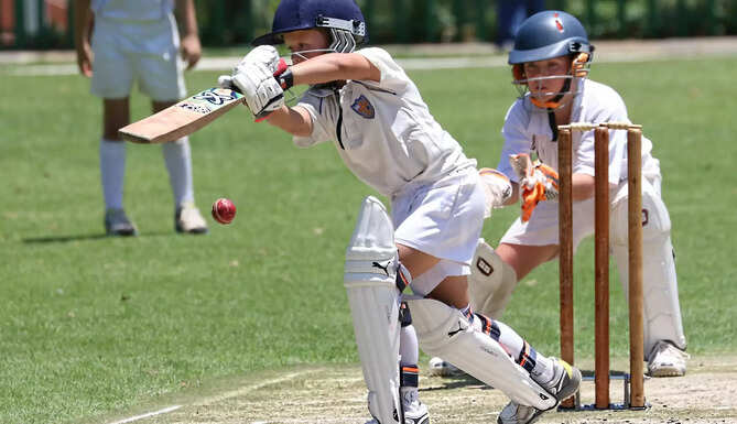 Cricket