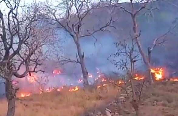 Fierce Fire ravages more than 5km stretch of Kevde Ki Naal forest