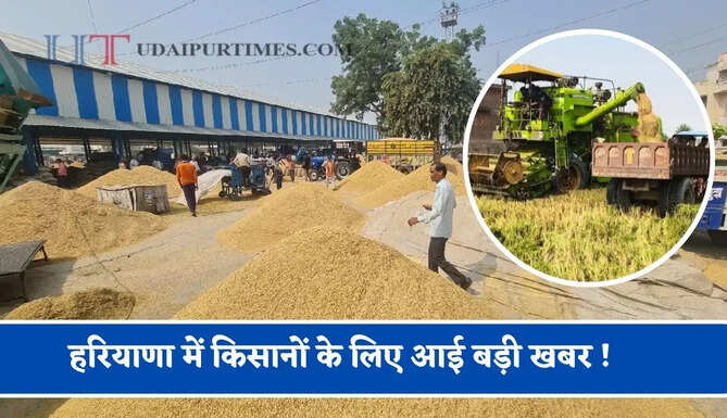 हरियाणा में किसानों के लिए आई बड़ी खबर ! धान कटाई व मंडियों में आवक को लेकर नए आदेश जारी&nbsp;