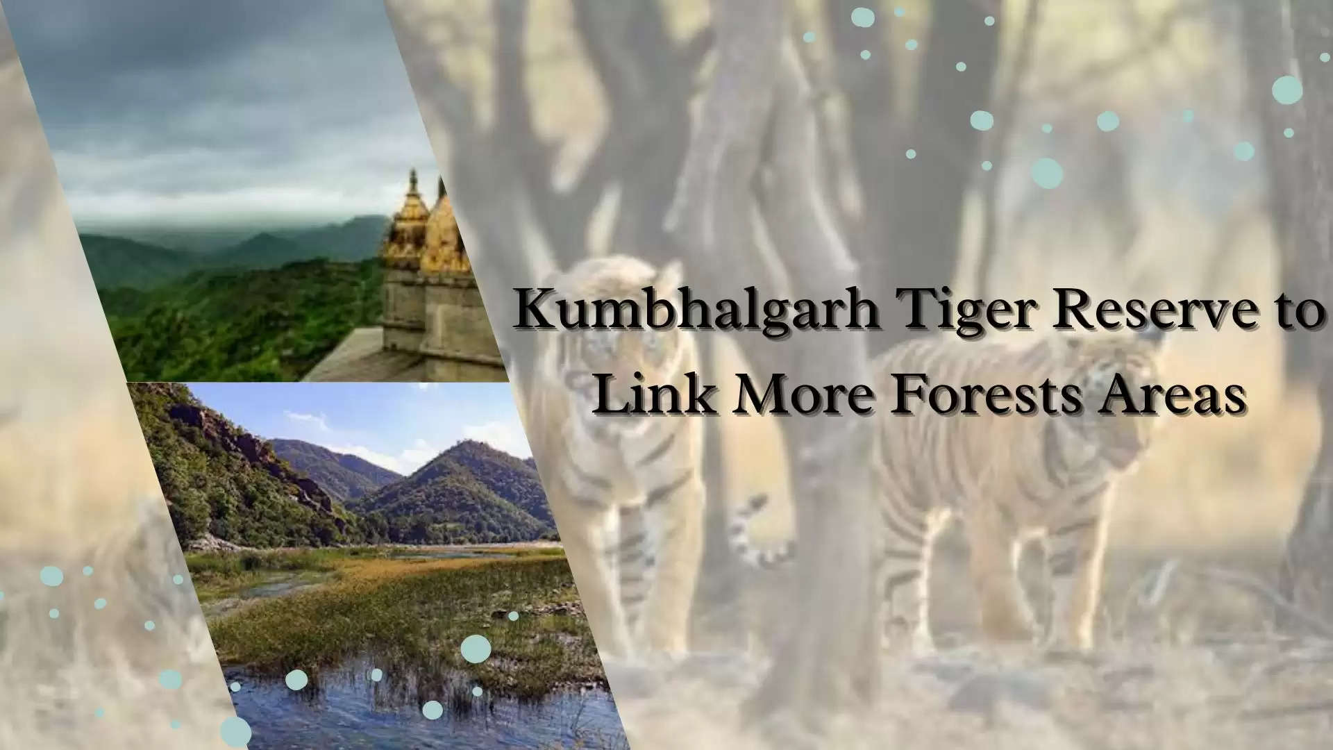 Kumbhalgarh Tiger Reserve