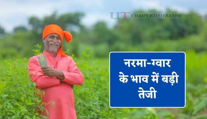 नरमा-ग्वार के भाव में बड़ी तेजी, देखें सभी मंडियों के नए रेट