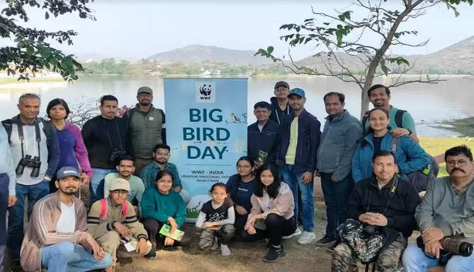 Big Bird Day