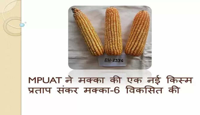 MPUAT