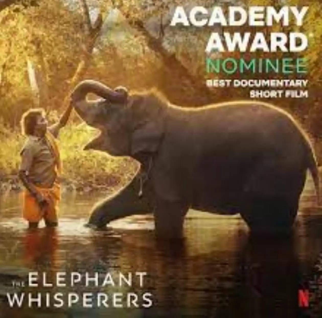 Elephant Whisperers, Short film bags oscar, Oscar Award 2023
