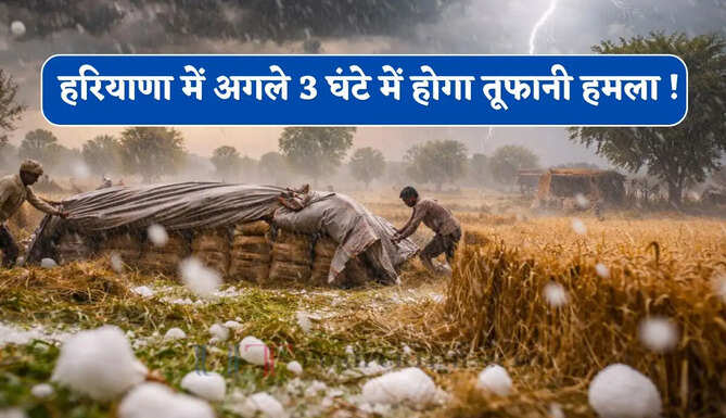 हरियाणा के हांसी-हिसार समेत कई जिलों में अगले 3 घंटे में होगा तूफानी हमला ! देखें नई IMD रिपोर्ट